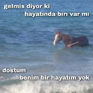 😥 emoji @Ebucehilinpacki @DogeUserBot Paketi 1 Telegram sticker 9 of 112