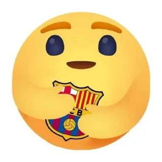 Sticker from Caritas de Leo