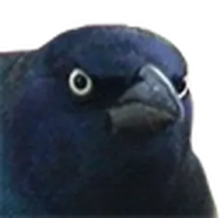 😡 emoji Nusent Set2 Telegram sticker 15 of 70