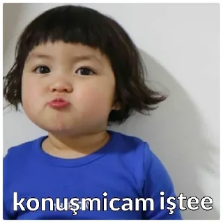 🤐 emoji @CansuDerler @AsenaUserBot Paketi 1 Telegram sticker 20 of 78