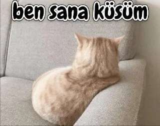 😒 emoji @CansuDerler @AsenaUserBot Paketi 1 Telegram sticker 9 of 78