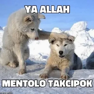 😋 emoji Tempat duel lord pack by @QuotLyBot Telegram sticker 24 of 120