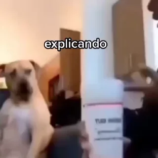 Sticker from 𝒜𝓈𝒽𝓁𝓎 Video Steal Pack 1