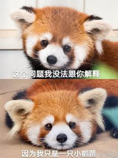 Sticker from 小熊猫，爬！