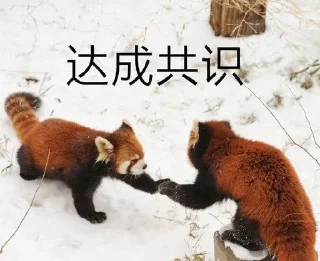 🤝 emoji 小熊猫，爬！ Telegram sticker 16 of 42