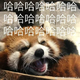😄 emoji 小熊猫，爬！ Telegram sticker 6 of 42