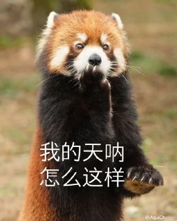 😱 emoji 小熊猫，爬！ Telegram sticker 10 of 42