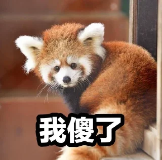 😋 emoji 小熊猫，爬！ Telegram sticker 8 of 42