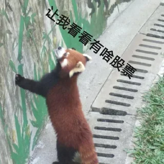 🧐 emoji 小熊猫，爬！ Telegram sticker 20 of 42