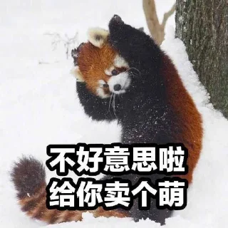 Sticker from 小熊猫，爬！