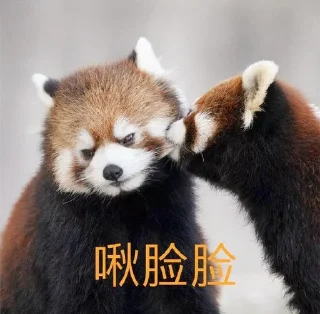 😻 emoji 小熊猫，爬！ Telegram sticker 17 of 42