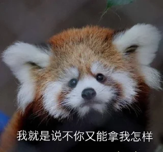 😏 emoji 小熊猫，爬！ Telegram sticker 5 of 42