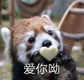 💋 emoji 小熊猫，爬！ Telegram sticker 7 of 42