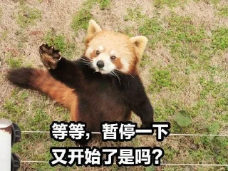 Sticker from 小熊猫，爬！