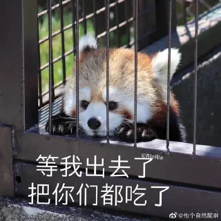 🤬 emoji 小熊猫，爬！ Telegram sticker 9 of 42