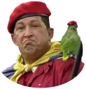 😟 emoji Revolución Bonita Telegram sticker 13 of 30