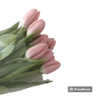 🌟 emoji 𝐂𝐨𝐪𝐮𝐞𝐭𝐭𝐞 𝐬𝐭𝐢𝐜𝐤𝐞𝐫♡ @onlyformysw Telegram sticker 18 of 106