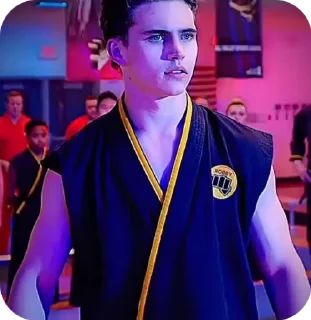 Sticker from Cobra Kai