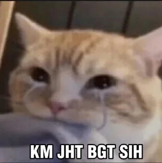 😭 emoji 😭😭😭 pack by @QuotLyBot Telegram sticker 16 of 55