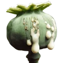 🌳 emoji Drugs By @AdwlpOn Telegram sticker 22 of 70