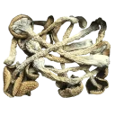 🍄 emoji Drugs By @AdwlpOn Telegram sticker 10 of 70