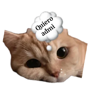 🐱 emoji 🦋🎀neni🎀🦋's video pack (@darkakamibot) Telegram sticker 5 of 50