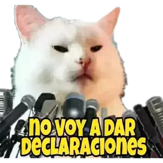 🐈 emoji Manu cat Telegram sticker 7 of 53