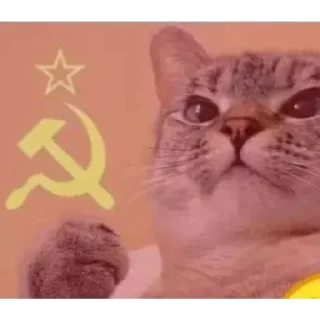 Sticker from Manu cat