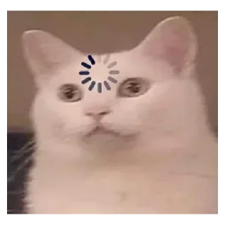 🐈 emoji Manu cat Telegram sticker 18 of 53