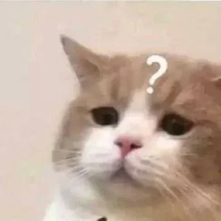 ❔ emoji Manu cat Telegram sticker 19 of 53