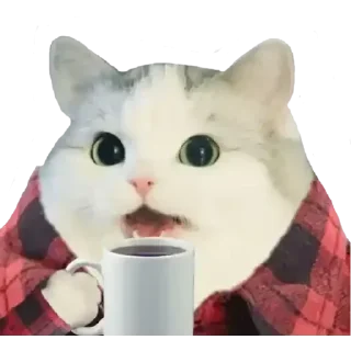🐈 emoji Manu cat Telegram sticker 9 of 53