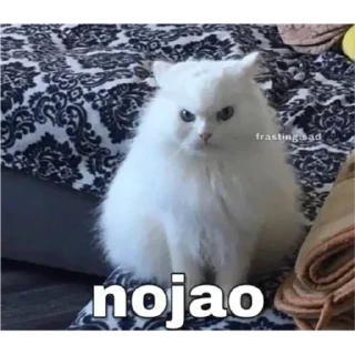 🐈 emoji Manu cat Telegram sticker 10 of 53