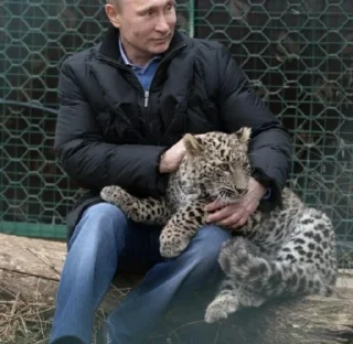 Sticker from Putin Reacts