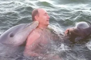 Sticker from Putin Reacts