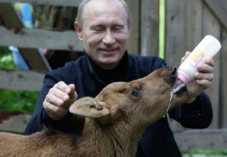 Sticker from Putin Reacts