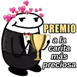 😶 emoji Flork Premios - Paraguayita @wastick_maydroid Telegram sticker 2 of 30