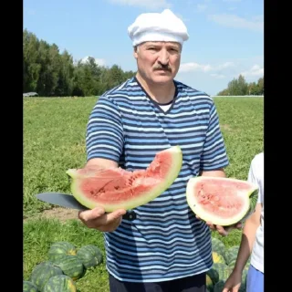 🍉 emoji Eastern politics 
https://t.me/stickersfordummie Telegram sticker 20 of 120