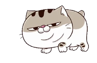 Sticker from fat cat Ami 8(EN) @RekcitsEnilbot