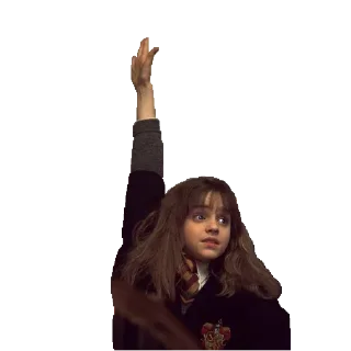 Sticker from Harry Potter