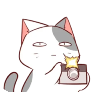 📸 emoji @MINALESO 2.0 Telegram sticker 14 of 86