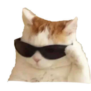 😎 emoji 🌝 Telegram sticker 7 of 99