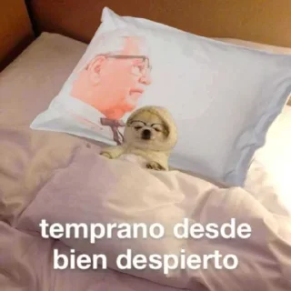 😴 emoji 🌝 Telegram sticker 24 of 99
