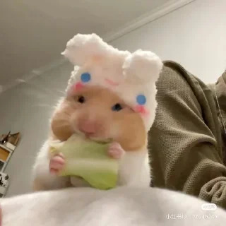 Sticker from Cupcakes 🍰