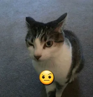 🤔 emoji Fran Telegram sticker 4 of 21