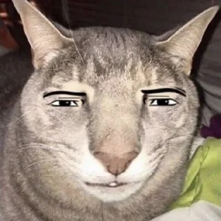 🤔 emoji Fran Telegram sticker 7 of 21