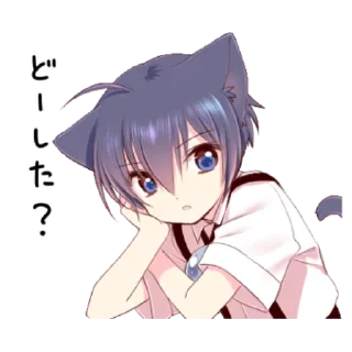 Sticker from Boy of a black cat 4