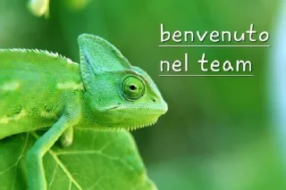 🔥 emoji Camaleonti 🦎 Telegram sticker 7 of 7