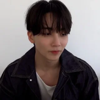 🍀 emoji @STIKERSVT : Seventeen ARENA Pictorial Shoot Sketch Telegram sticker 14 of 33