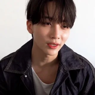 🍀 emoji @STIKERSVT : Seventeen ARENA Pictorial Shoot Sketch Telegram sticker 13 of 33