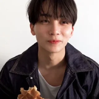 🍀 emoji @STIKERSVT : Seventeen ARENA Pictorial Shoot Sketch Telegram sticker 12 of 33